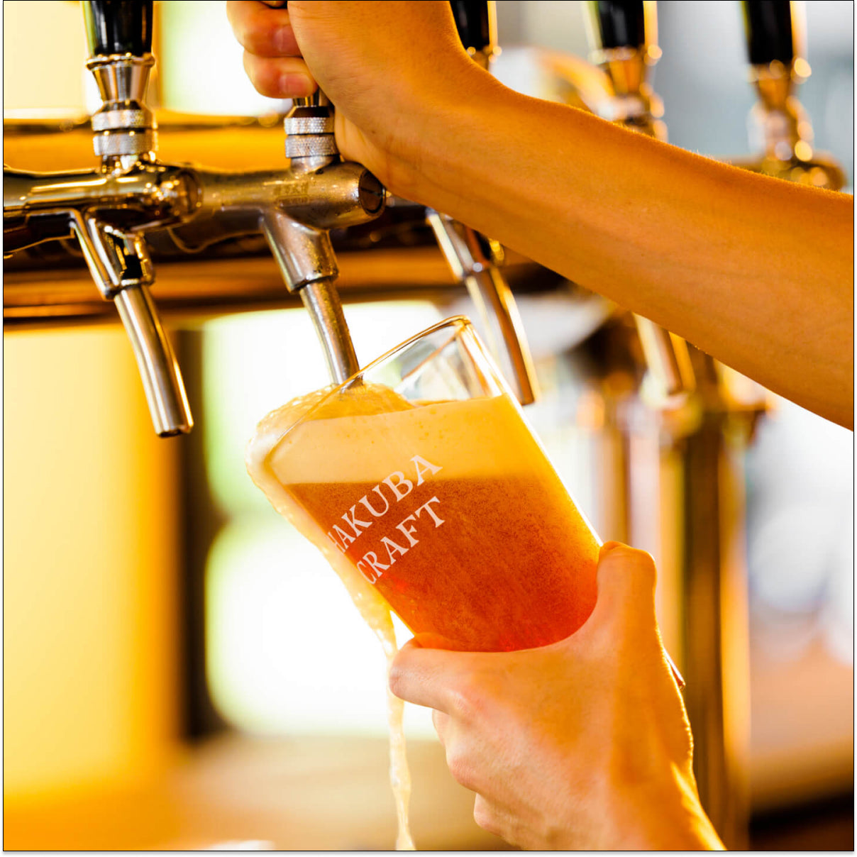 Hakuba Beer Garage